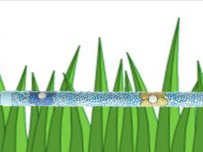 RaRa GlamStick Crutch with plants in the background