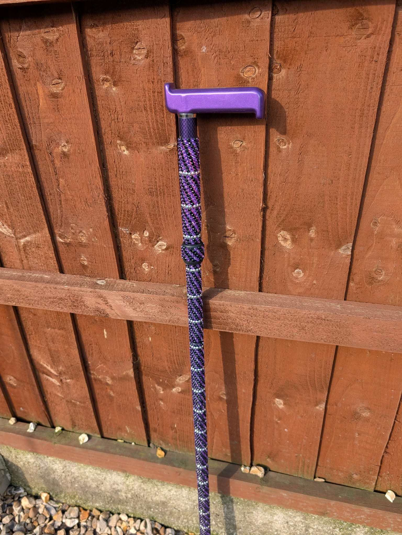 Purple and blue striped cane against a wooden fence