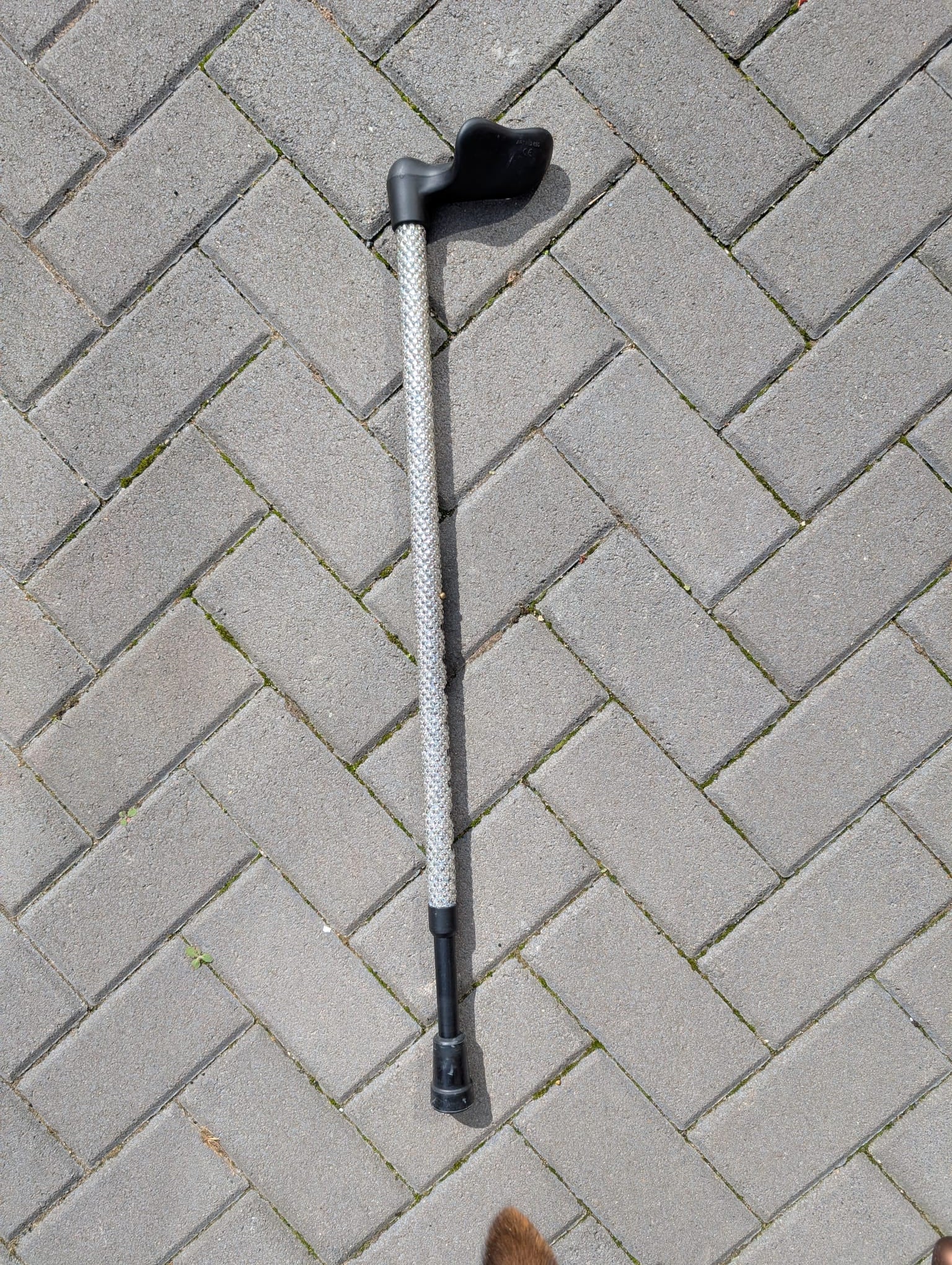 Crystal walking Stick on a grey brick pavement